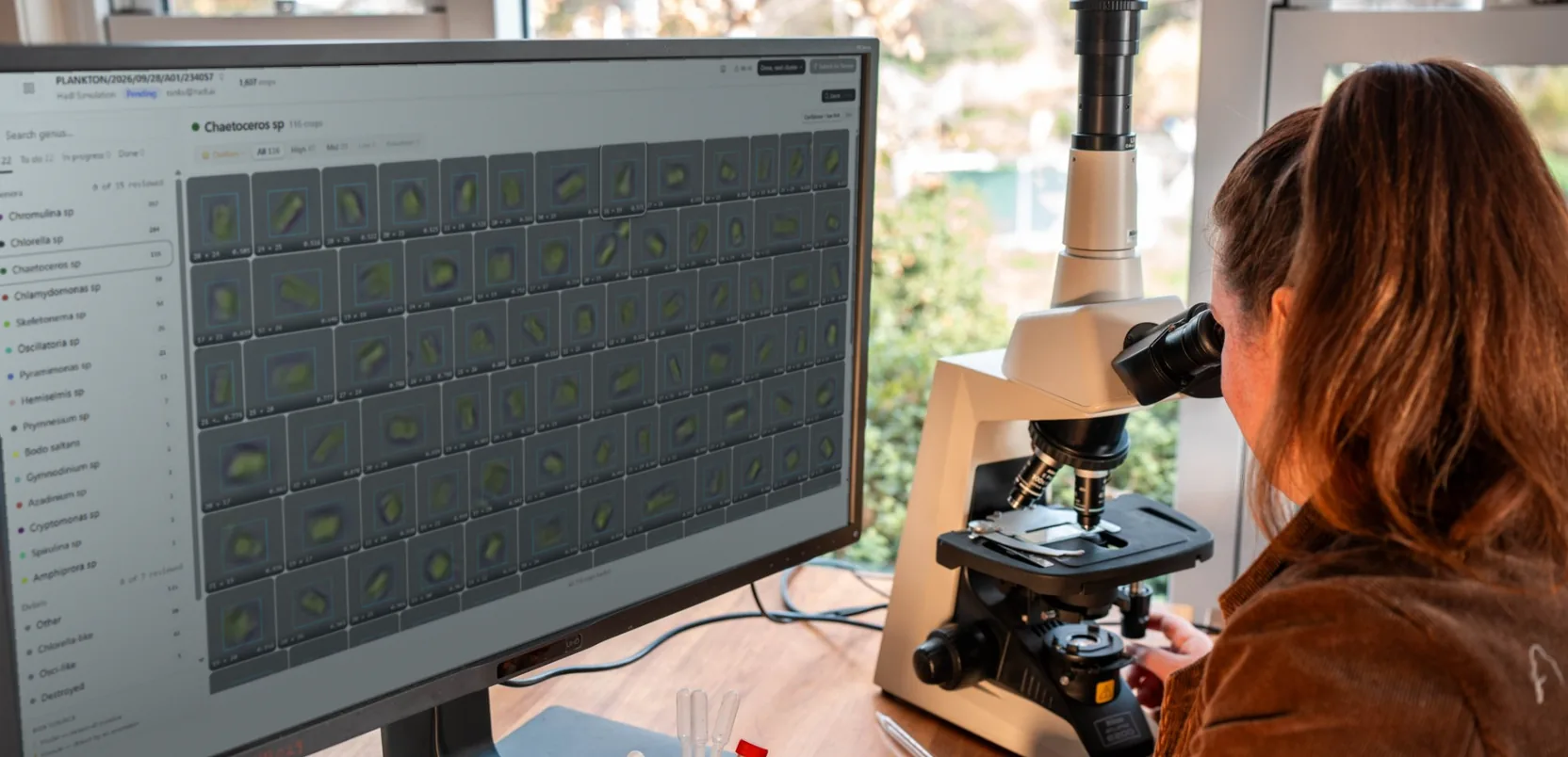 Expert reviewing plankton detections at the microscope